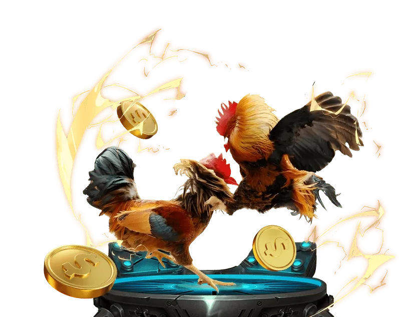 Cá cược bóng đá với các giải đấu lớn tại sc88 code